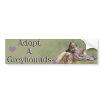 Adopt A Greyhound Bumper Sticker bumper stickers