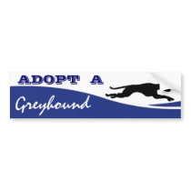 "Adopt a Greyhound" Bumper Sticker