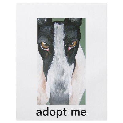 Adopt a greyhound full color flyer by luvyouranimals