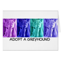 Adopt a Greyhound Notecards