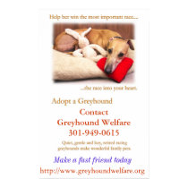 Adopt a Greyhound posters