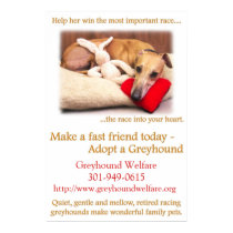 Adopt a Greyhound posters