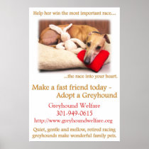 Adopt a Greyhound Print