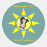 Adopt A Greyhound Sunshine In Your Life Sticker