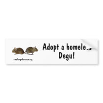 Adopt a homeless Degu! bumper stickers