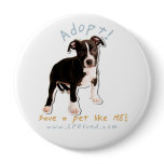 adopt a homeless dog! buttons