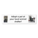 Adopt a Pet Bumper Sticker bumper stickers