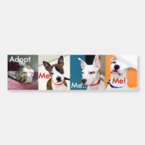 Adopt A Pet bumper stickers