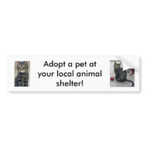Adopt a Pet Bumper Sticker bumper stickers