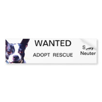 Adopt a Pet bumper sticker
