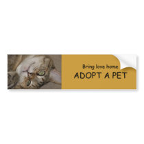 ADOPT A PET Bumper Sticker 1