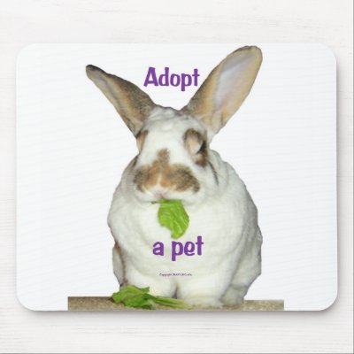 Adopt a pet mouse pad by DRCrafts