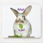 Adopt a pet mouse pad