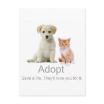 adopt a pet post card