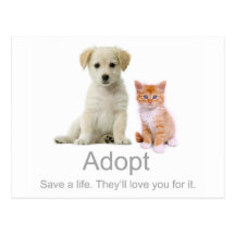 adopt a pet post card