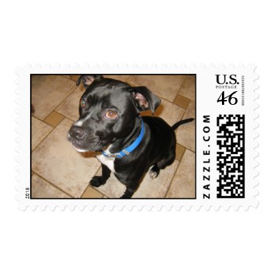 adopt a pet stamp by puppydogs