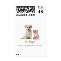 adopt a pet
