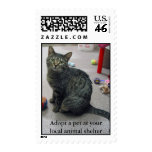 Adopt a Pet Postage