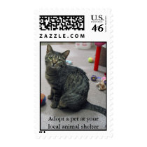 Adopt a Pet Postage