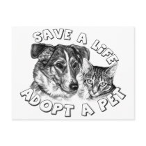 Adopt a Pet Post Card