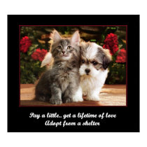 Adopt A Pet posters