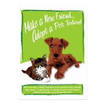 Adopt A Pet Poster posters