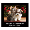 Adopt A Pet posters by chysshirts Adopt A Pet posters