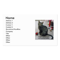 Adopt a Pet Profile Card business cards