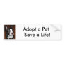 Adopt a Pet   Save a Life!