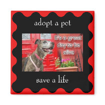 adopt a pet, save a life magnets by lissame73 adopt a pet, save a life magnets