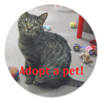 Adopt a Pet Sticker