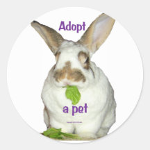 Adopt a pet sticker