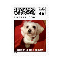 adopt a pet today postage by doggypups adopt a pet today postage