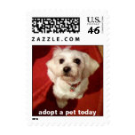 adopt a pet today postage