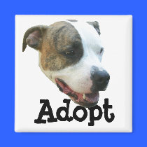 Adopt a Pit Bull magnets