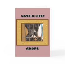 Adopt a puppy greeting card