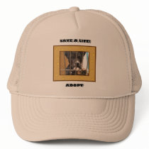 Adopt a puppy hat