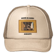 Adopt a puppy hat