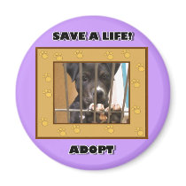 Adopt a puppy magnet by ritmoboxer Adopt a puppy magnet