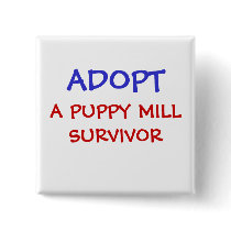 ADOPT, A PUPPY MILL SURVIVOR buttons