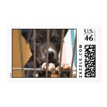 Adopt a puppy postage
