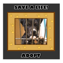 Adopt a puppy poster posters