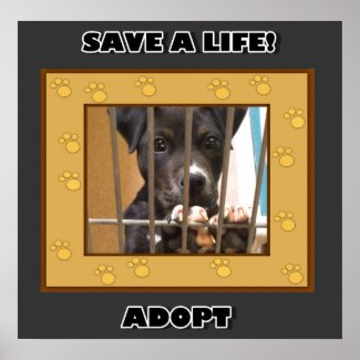 Adopt a puppy poster print