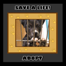 Adopt a puppy poster posters