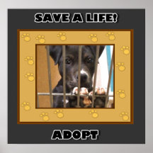 Adopt a puppy poster