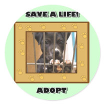 Adopt a puppy sticker by ritmoboxer Adopt a puppy sticker