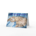 Adopt a rescue cat Greeting Card