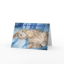 Adopt a rescue cat Greeting Card by Candys_Cats Adopt a rescue cat Greeting Card