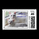 Adopt A Rescue Cat Postage postage