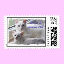 Adopt A Rescue Cat Postage postage